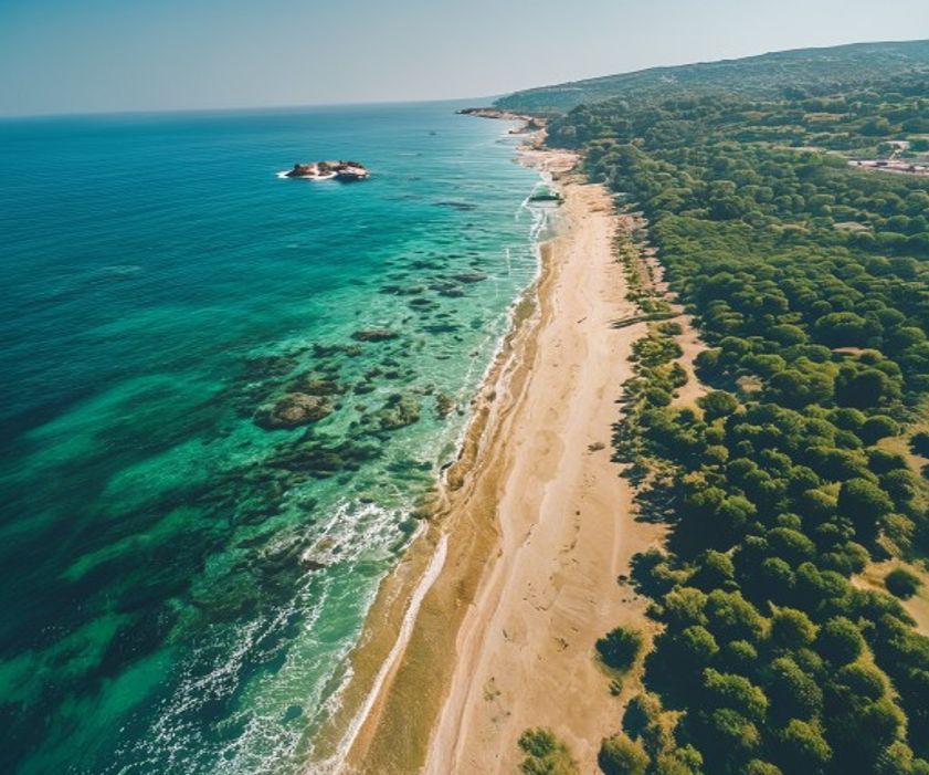 Luftaufnahme der ionischen Küste mit Sandstrand und Olivenhainen
